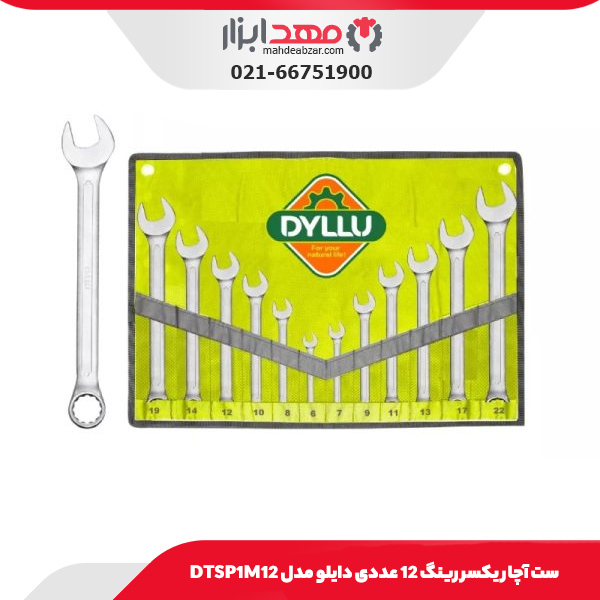 ست آچار یکسر رینگ 12 عددی دایلو مدل DTSP1M12